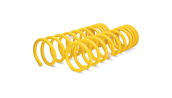 Cat_CoilSprings